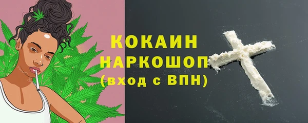 гидра Балахна