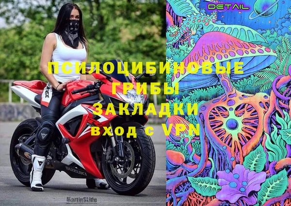 PSILOCYBIN Аркадак