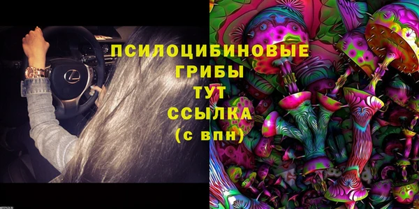 стаф Армянск