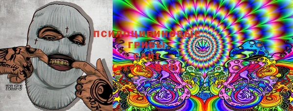 PSILOCYBIN Аркадак