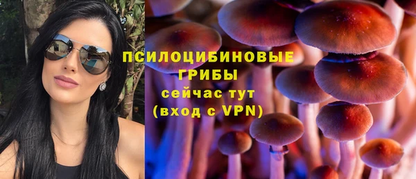 сатива Ухта
