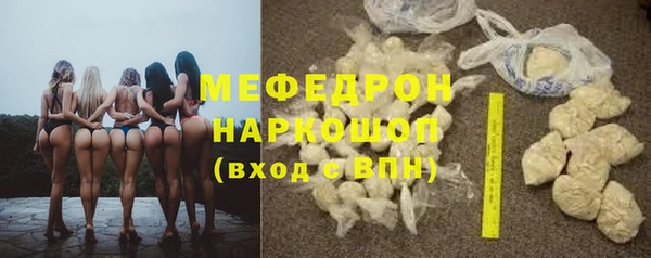 apvp Аша