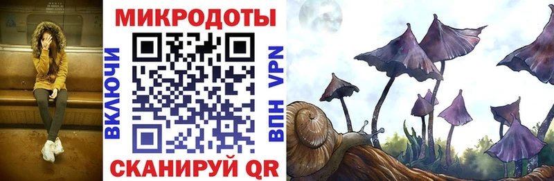 kraken ONION  закладки  Балей  Галлюциногенные грибы MAGIC MUSHROOMS 